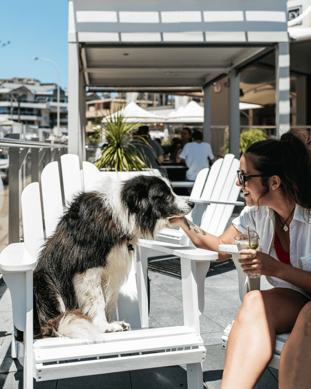 woman with dog on sunny terrace